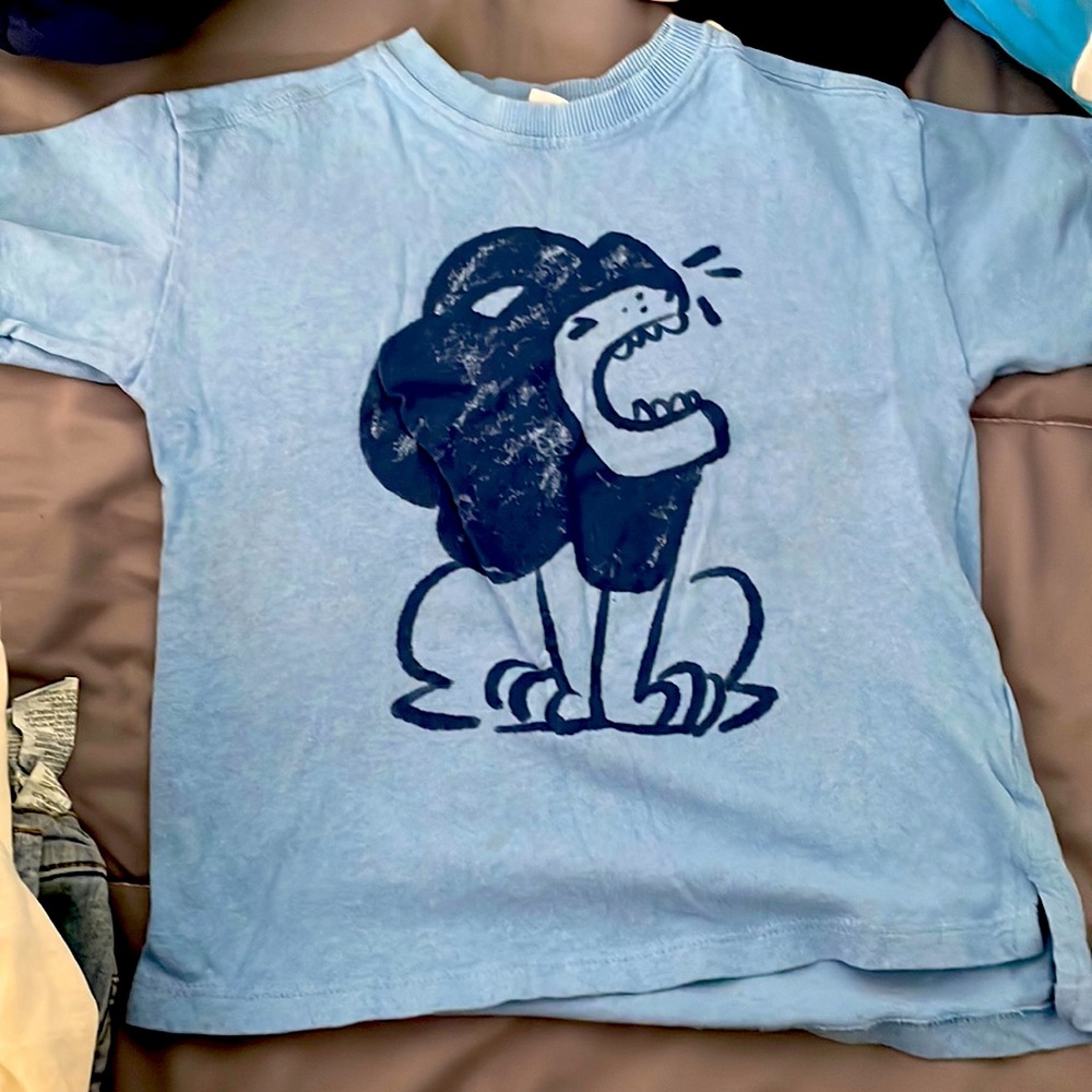 Toddler boys Zara matching set